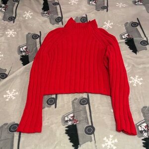 American Eagle Outfitters Red Ribbed Turtleneck Sweater